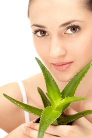 Primera receta de aloe vera arrugada